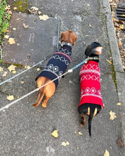 Load image into Gallery viewer, N.Peal Christmas Cashmere Dog Jumper Navy Blue
