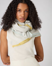 Load image into Gallery viewer, N.Peal Women's Bordered Cashmere Pashmina Grey
